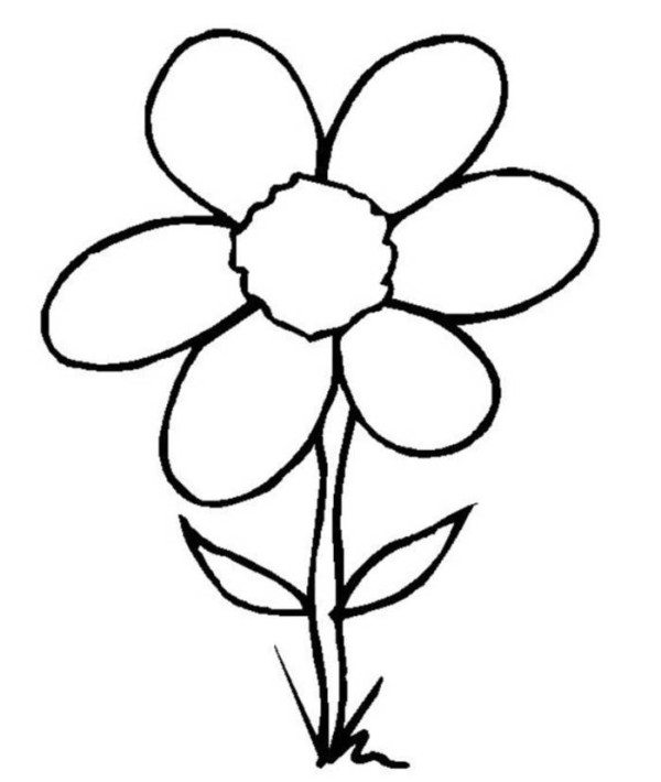 600x710 Simple Flower Coloring Pages Kids