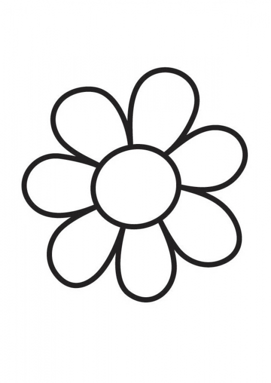 531x750 Small Flower Coloring Simple Small Coloring Books