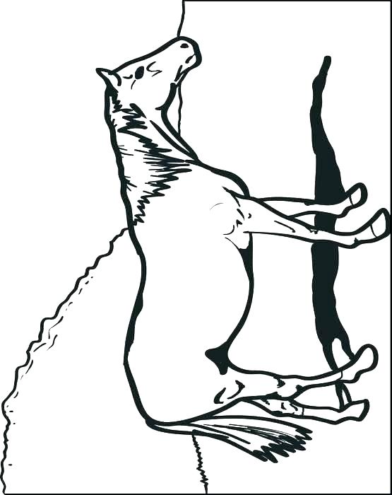 555x700 Horse Head Coloring Page Simple Horse Coloring Pages Horse Head
