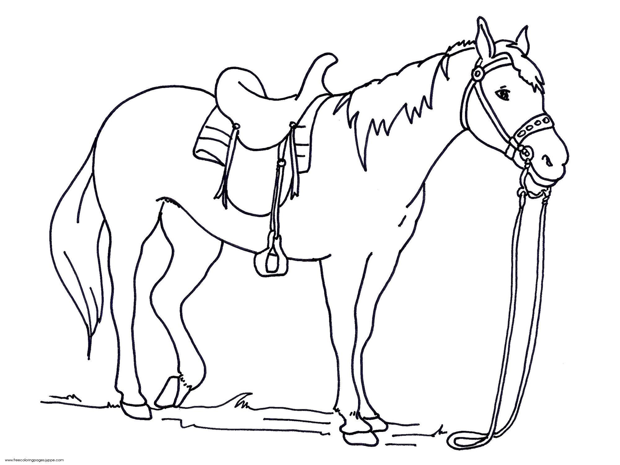 2000x1500 Simple Horse Coloring Page Simple Colorings