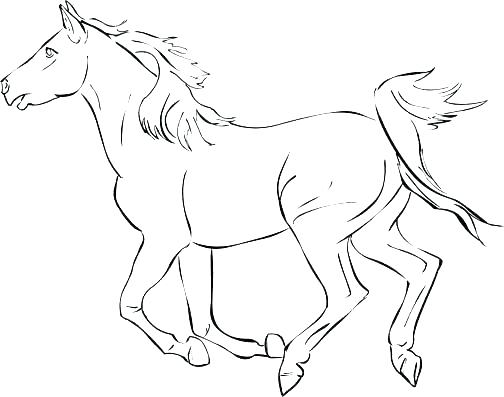 504x397 Wild Horse Coloring Pages Simple Horse Coloring Pages Realistic
