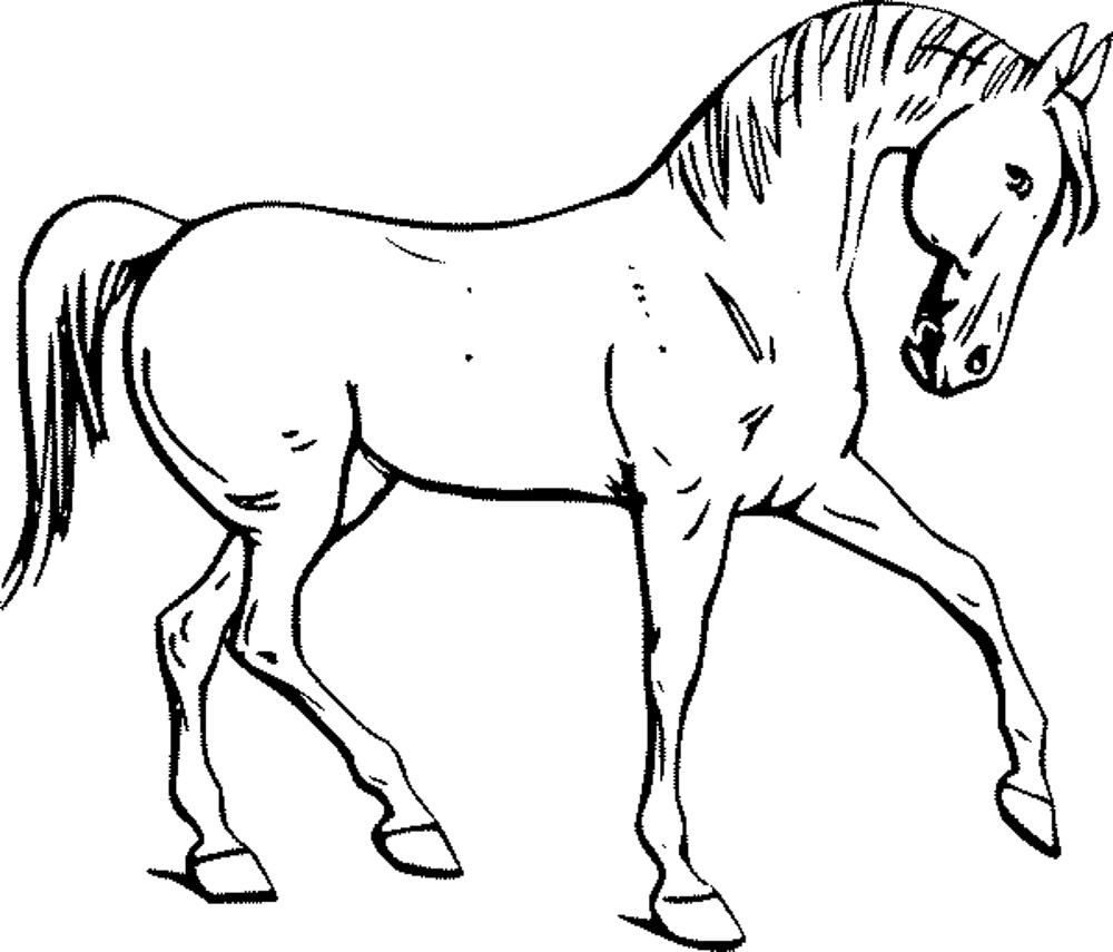1000x855 Printable Horse Coloring Pages 11129 1000855 Free Printable