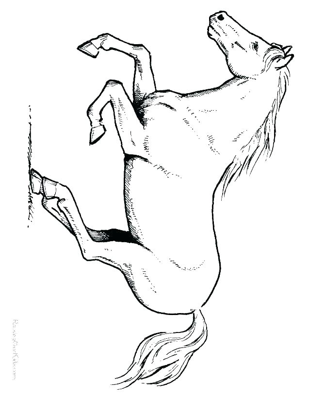 670x820 Printable Realistic Horse Coloring Pages Professional
