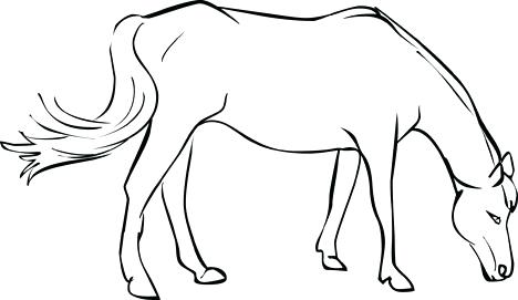 468x271 Coloring Page Of A Horse Simple Seahorse Coloring Page