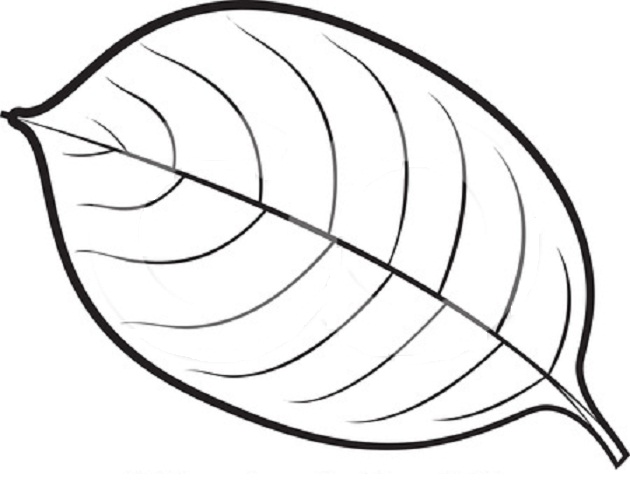 Simple Leaf Coloring Pages