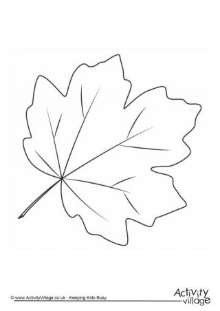 320x452 Autumn Leaf Colouring Page 3 Templates Autumn Leaf