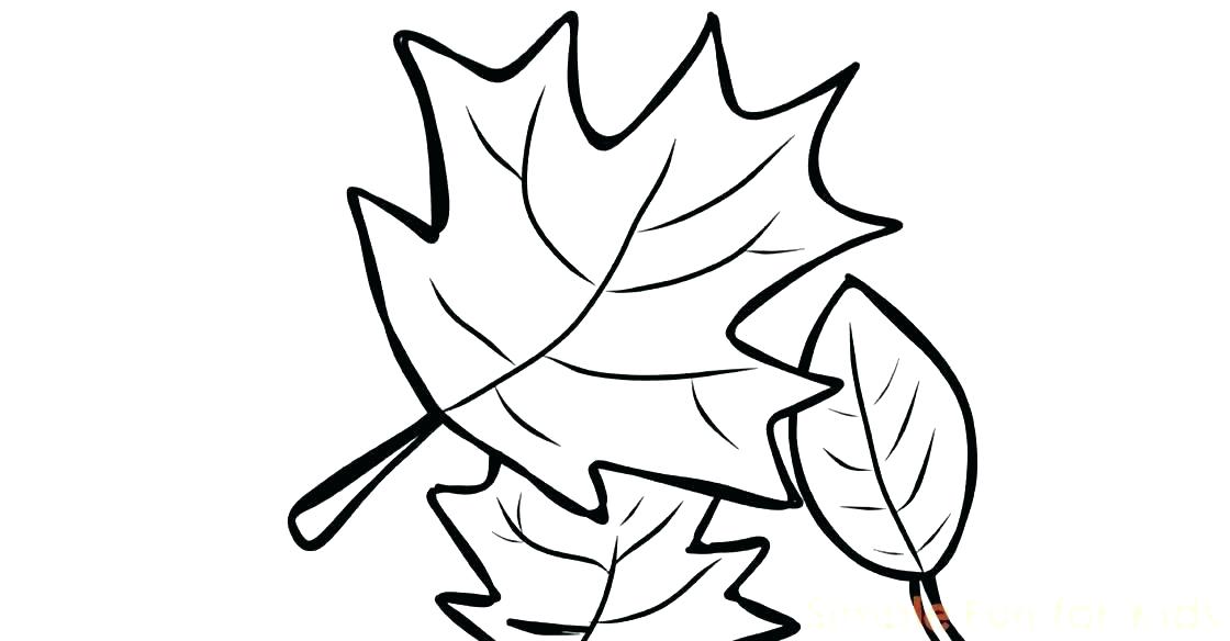 1120x584 Fall Leaves Coloring Pages Also Leaf Coloring Page Autumn Leaves