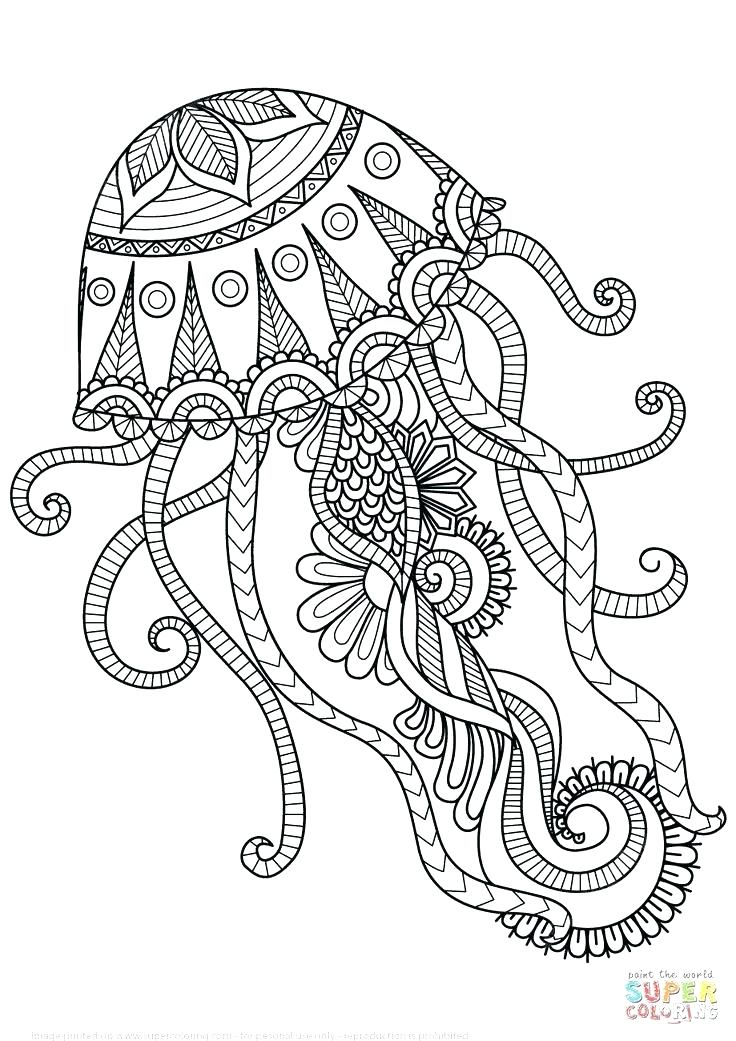 736x1041 Coloring Pages Of Mandalas Coloring Pages Mandala Coloring Pages