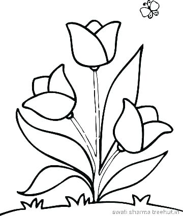 360x425 Images Of Coloring Pages Of Flowers Adult Coloring Pages Flowers 2