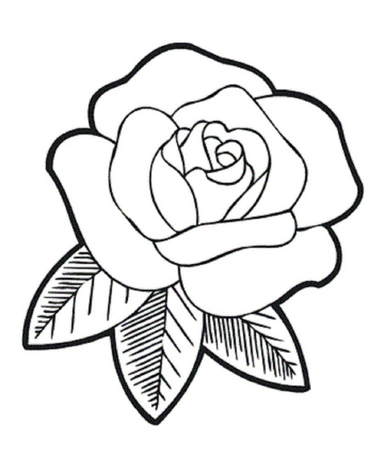 768x940 Simple Rose Coloring Pages Copy New Top 10 Easy Flower Free Kids
