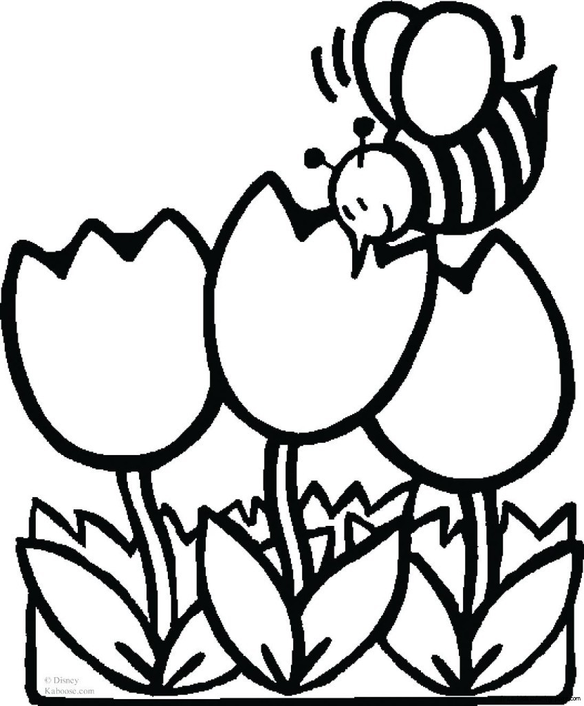 849x1027 Top Colouring Pictures Of Flowers Images For T