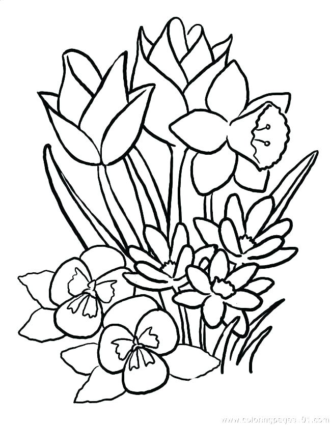 650x835 Coloring Pages For Kids Flowers Free Spring Coloring Pages