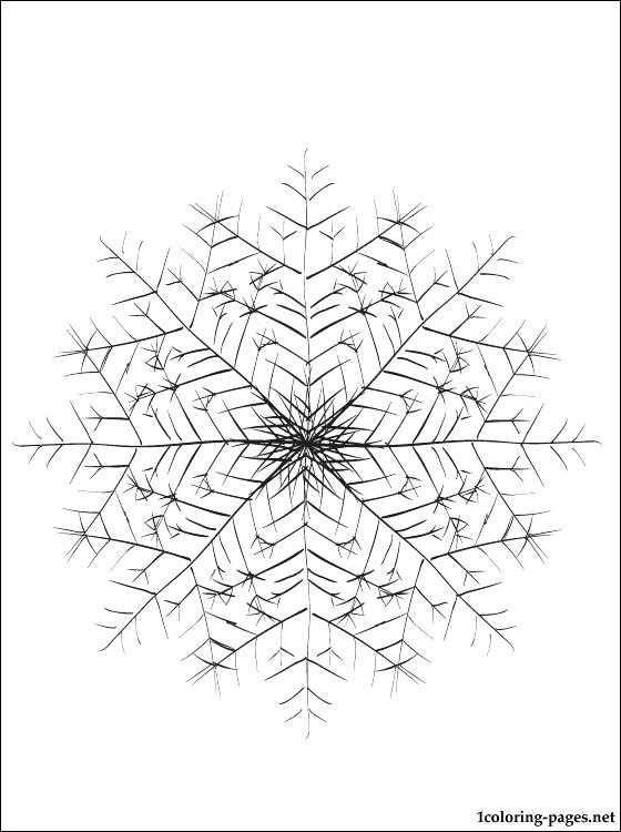 560x750 Snowflake Coloring Pages Snowflakes Coloring Page Snowflake