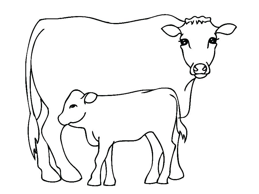 900x675 Coloring Pages Thanksgiving Cow Printable Coloring Pages Simple