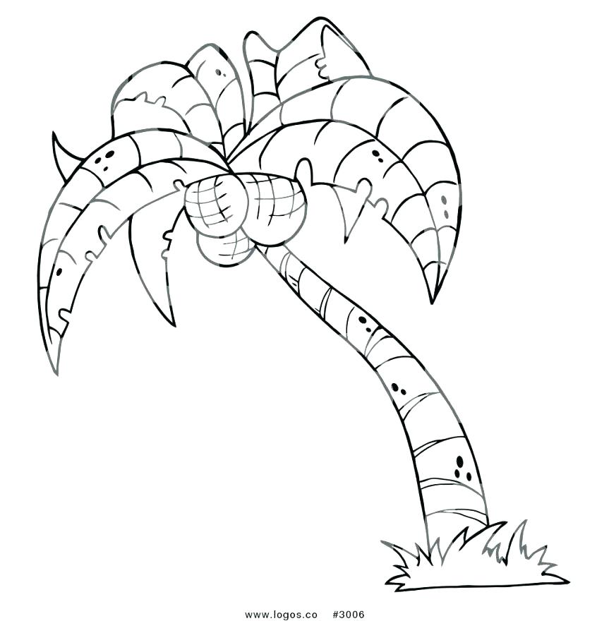863x880 Coloring Pages Tree Fabulous Fall Trees Coloring Pages Coloring