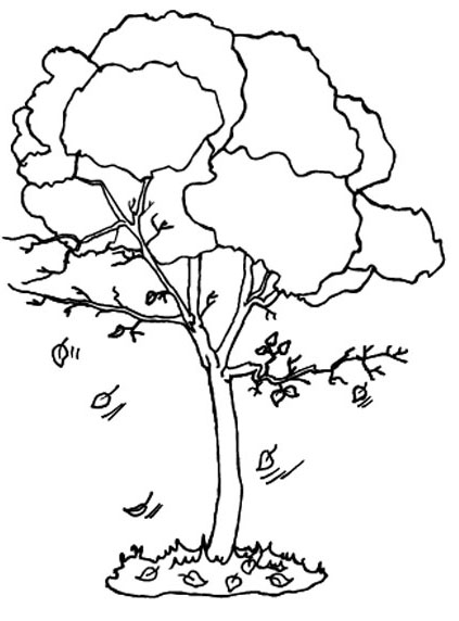 423x572 Fall Tree Coloring Pages