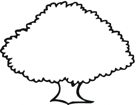 453x350 Oak Tree Amp Coloring Book