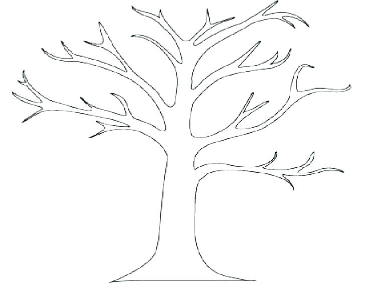 728x593 Simple Tree Coloring Page For Kids Free Printable Picture This