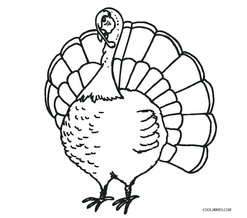 850x750 Turkey Head Drawing Turkey Coloring Pics Turkey Coloring Pages