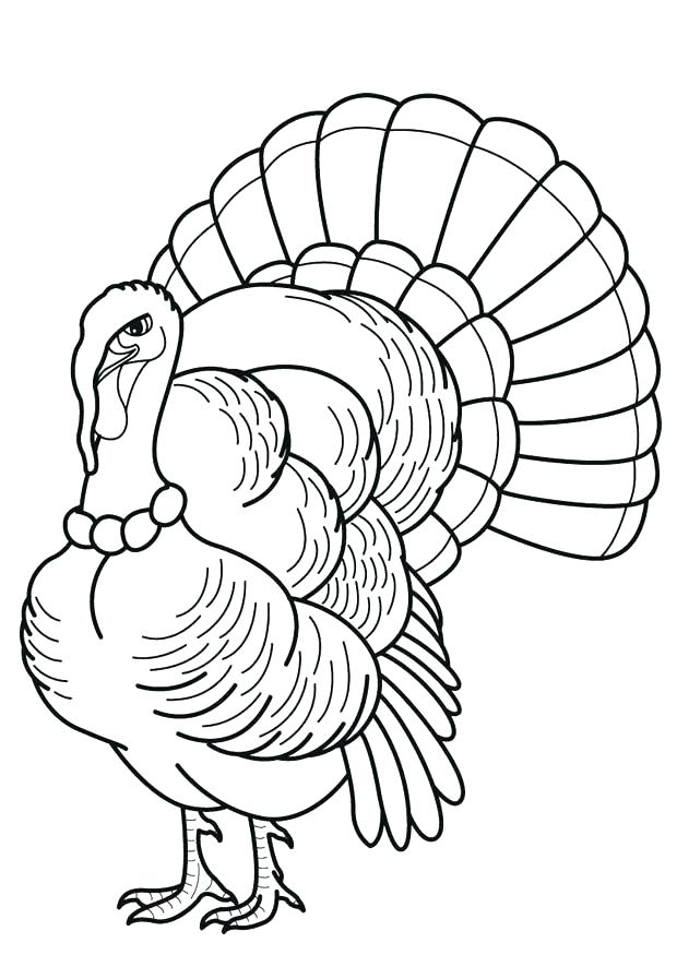 620x875 Turkey Head Drawing Wild Turkey Head Retro Simple Turkey Head