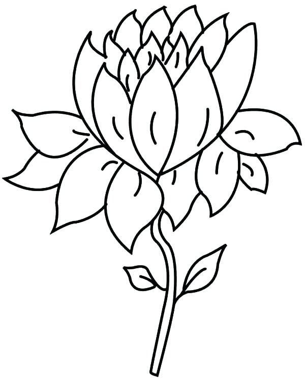 600x748 Lotus Flower Coloring Page A Single Lotus Flower Coloring Pages