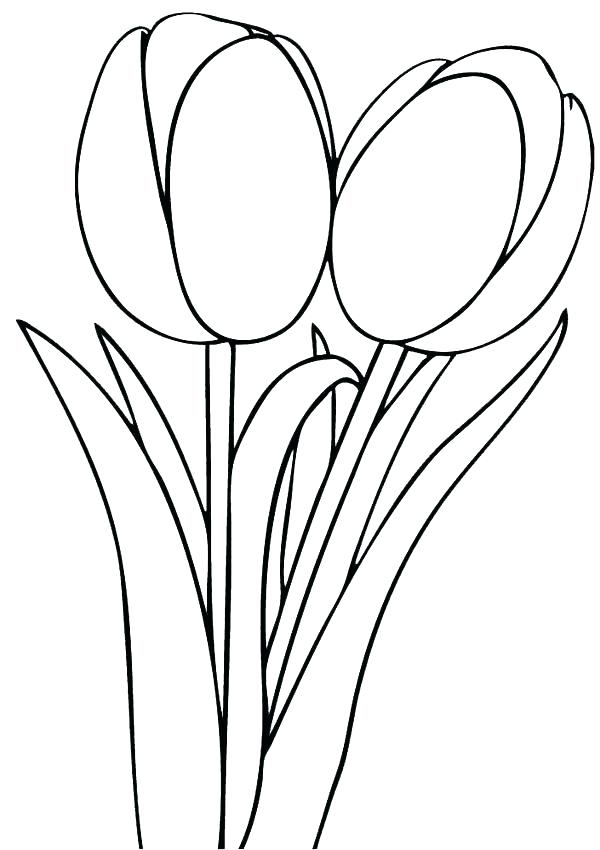 600x850 Tulip Coloring Page Seven Tulips Coloring Page Beautiful Tulip
