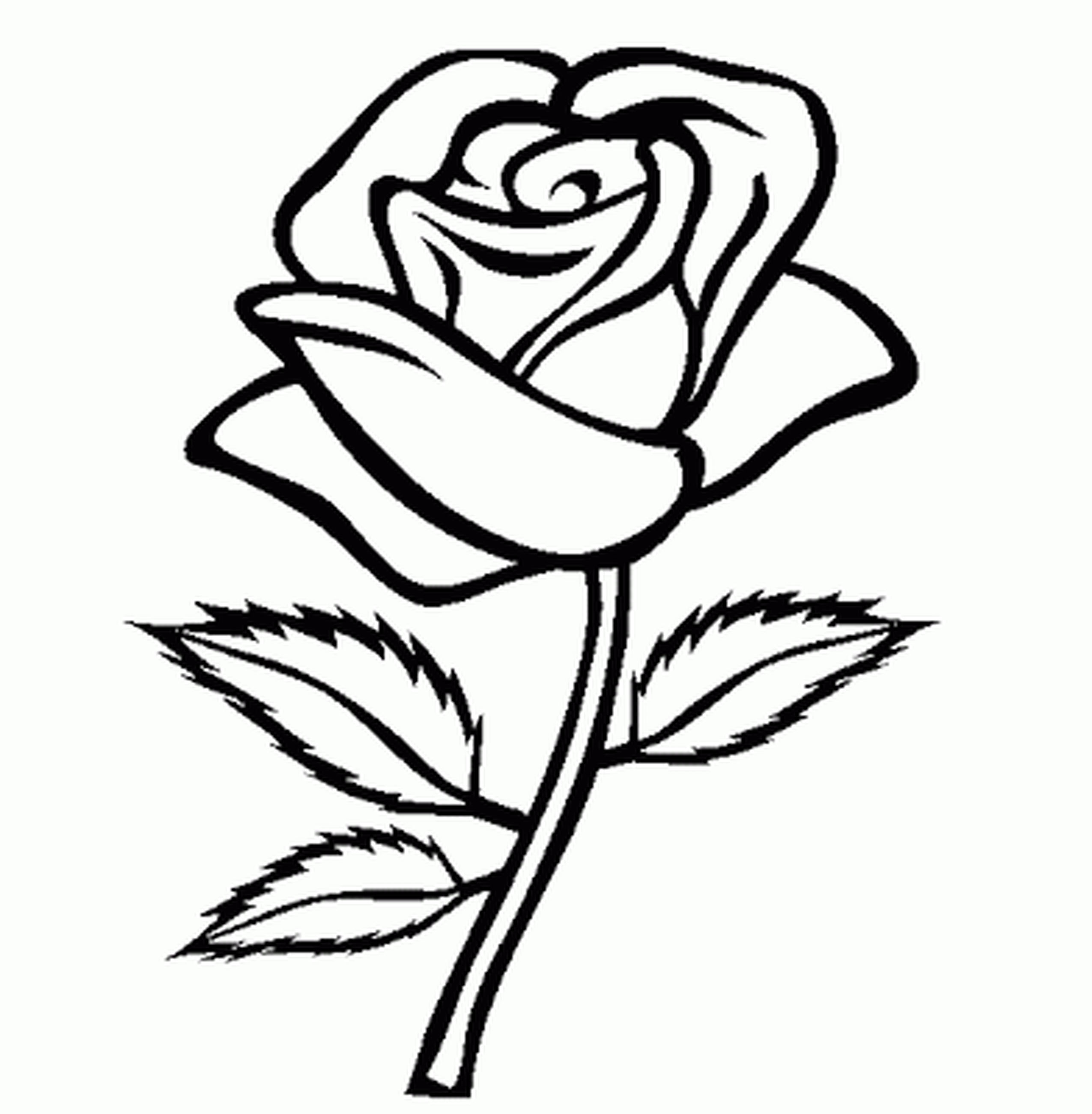 2550x2602 Coloring Pages For Girls Flowers Free