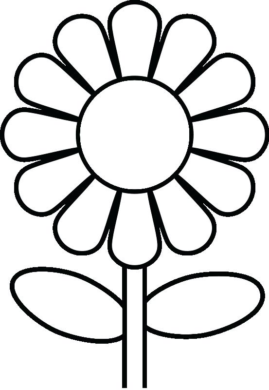 553x800 Coloring Book Pages Flowers Flower Coloring Pages A Single Flower