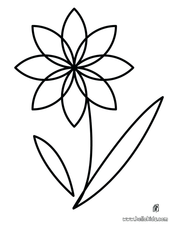 728x941 Flower Color Meanings Death Kids Coloring Coloring Images