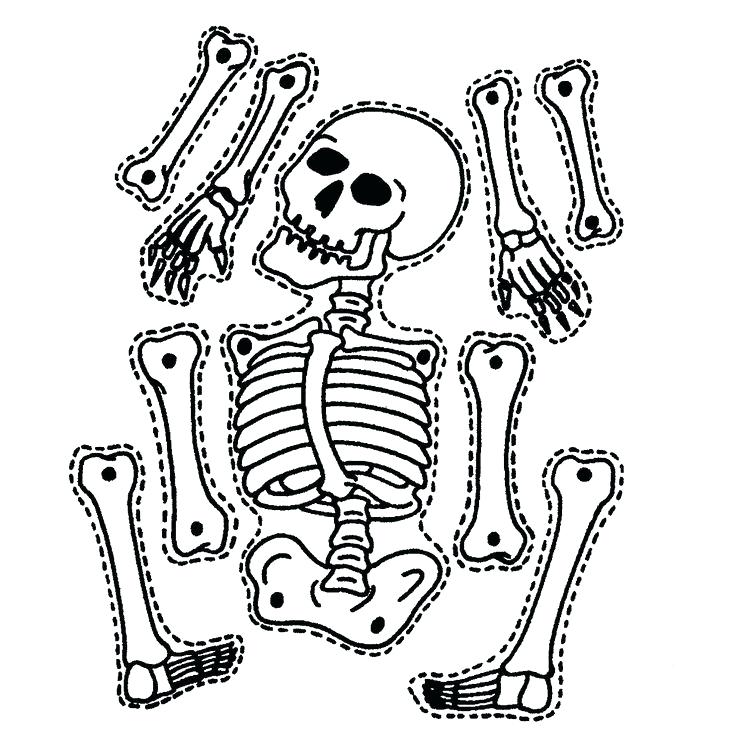 Skeletal System Coloring Pages