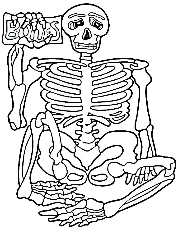 750x970 Skeletal System Coloring Pages Free Printable Skeleton Coloring
