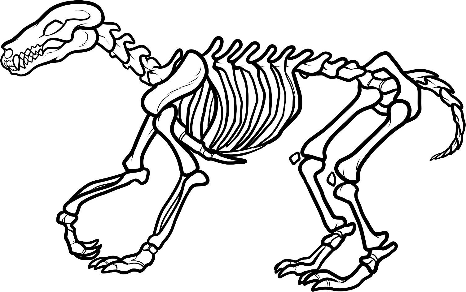 1504x944 Free Printable Skeleton Coloring Pages For Kids