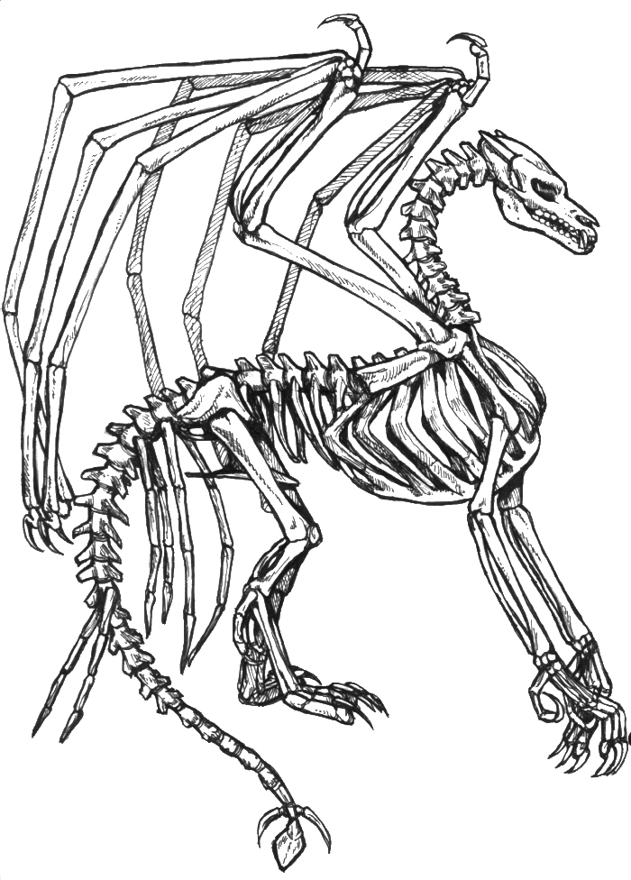 700x976 23 Beautiful Skeleton Coloring Pages Logo And Design Ideas
