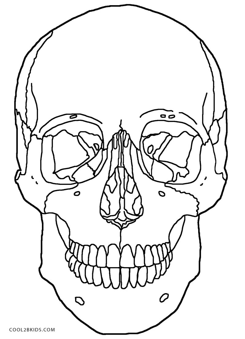 800x1108 Printable Skulls Coloring Pages For Kids Cool2bkids