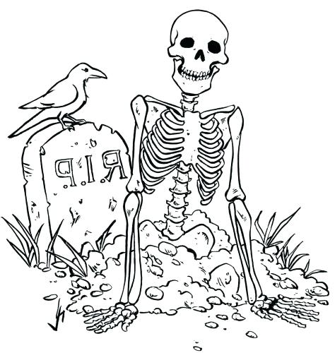 474x500 Skeleton Coloring Pages Drawn Skeleton Printable X Free Dinosaur