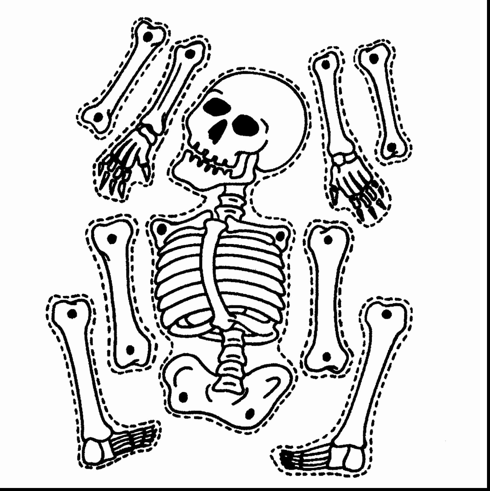 1629x1632 Lovely Images Of Halloween Skeleton Coloring Pages