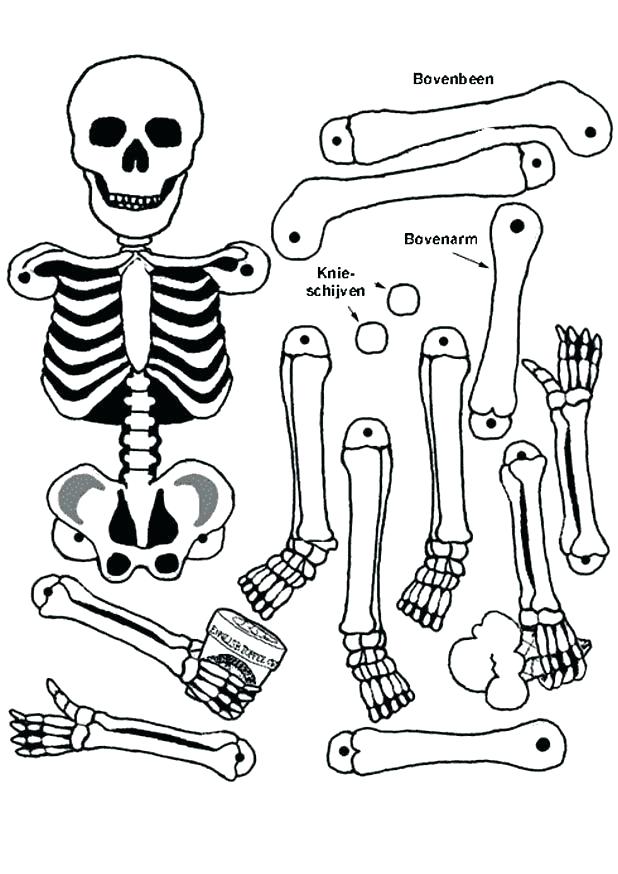 618x874 Skeleton Coloring Page Skeleton Coloring Pages To Print Coloring