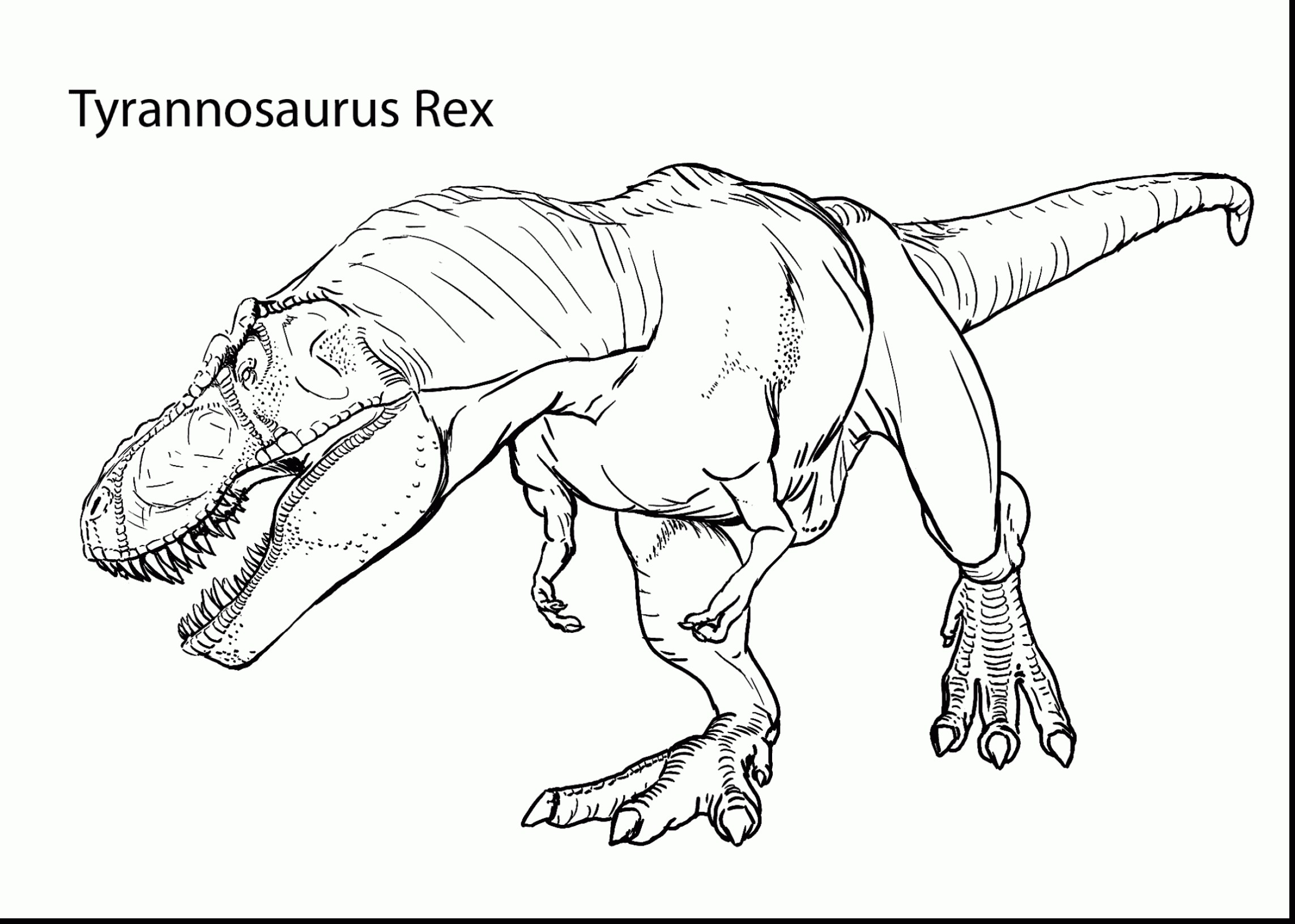 2286x1631 Skeleton Coloring Pages For Preschoolers New Beautiful T Rex