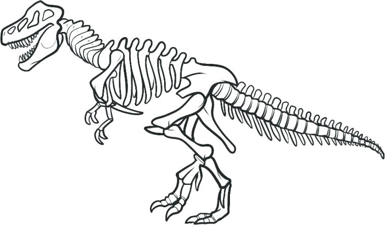 760x444 Skeleton Coloring Pages To Print Shippa.co