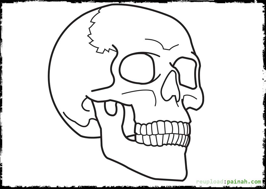 1024x728 Skeleton Coloring Pages