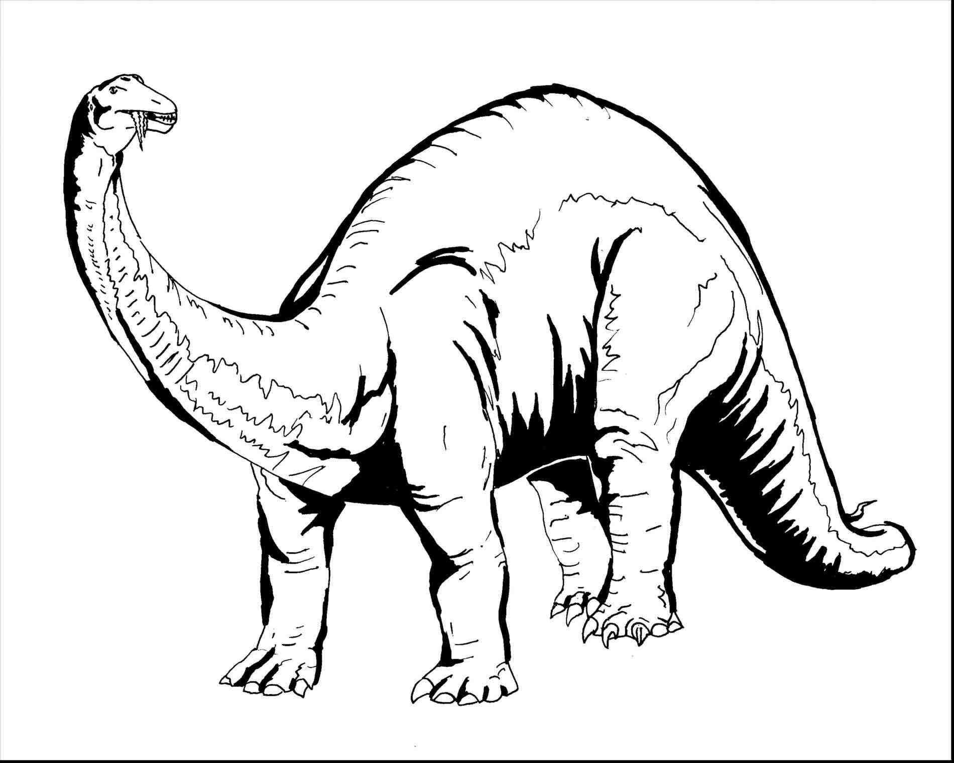 1900x1520 Skeleton Key Coloring Pages Web Coloring Pages