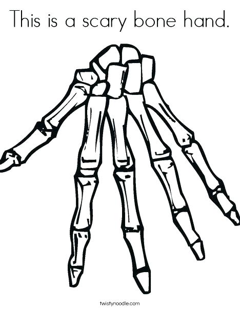 468x605 Human Skeleton Coloring Page Anatomy Of A Bone Coloring Skeleton