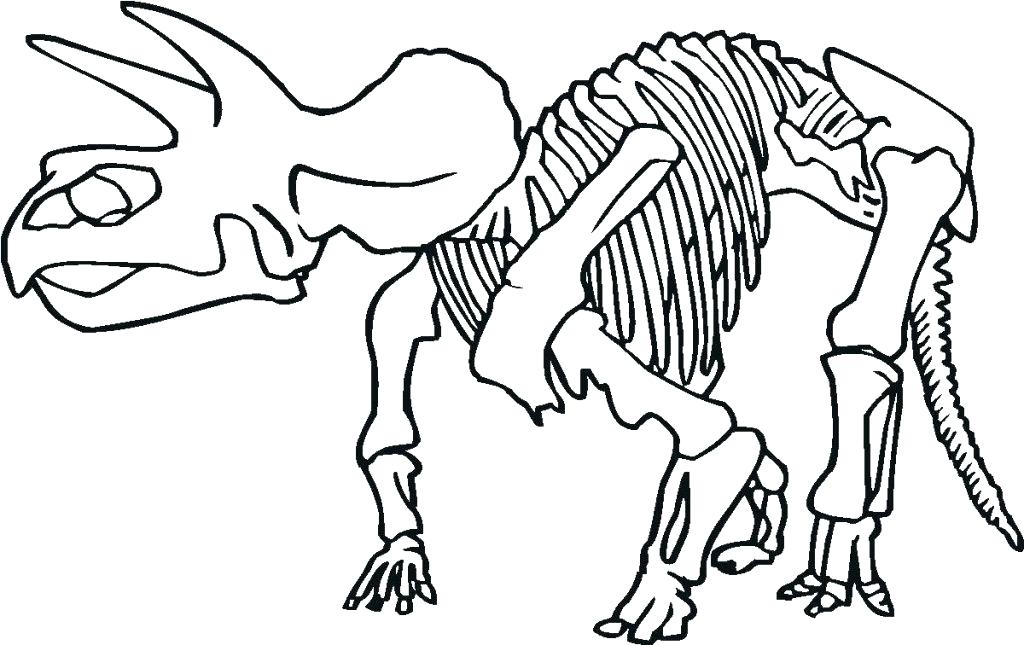 1024x645 Skeleton Coloring