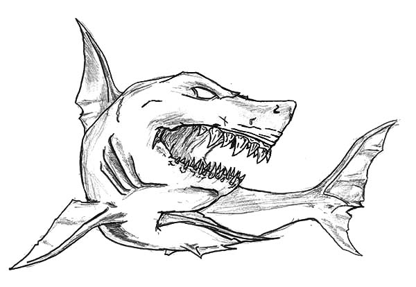 600x414 Shark Jaws Sketch Coloring Pages Best Place To Color