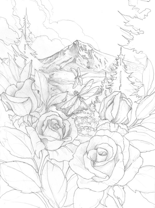 600x803 471 Best Coloring Pages