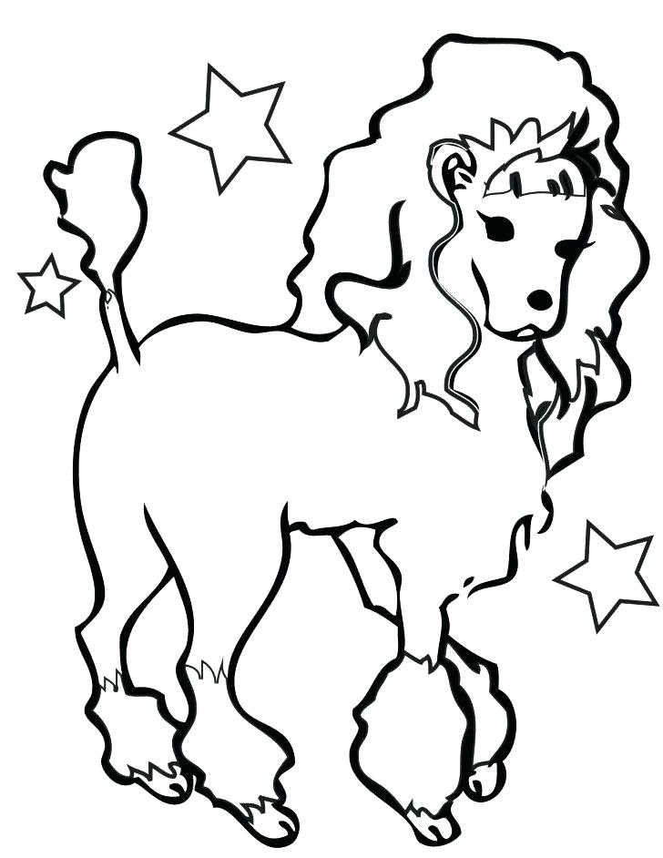 728x942 Poodle Coloring Page Poodle Coloring Page Husky Dog Poodle Dog