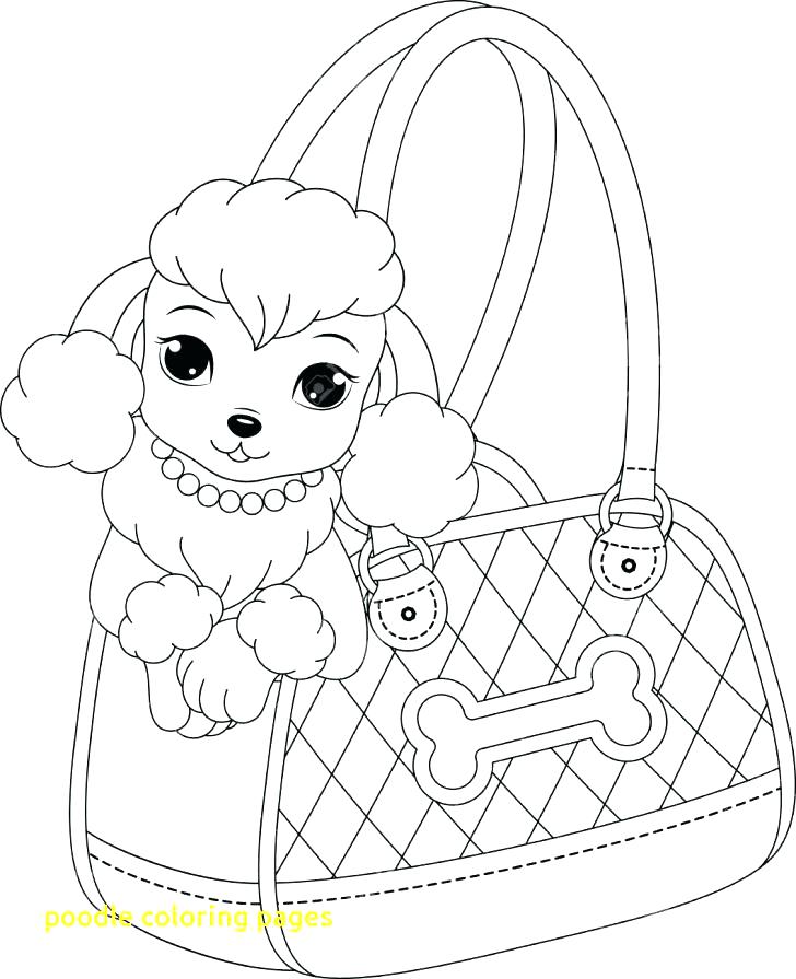 728x895 Poodle Coloring Pages Poodle Coloring Page Poodle Coloring Pages