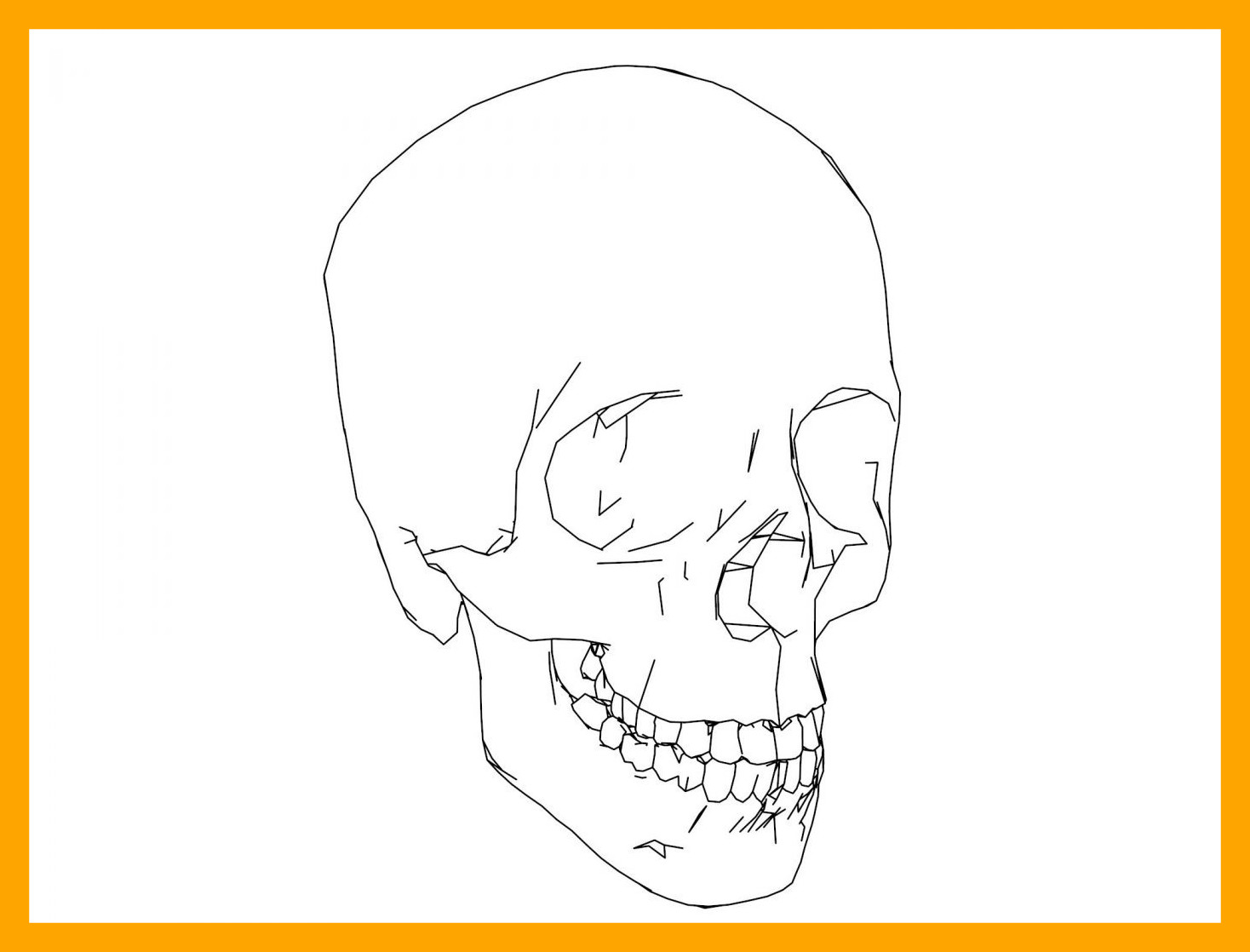 1468x1118 Human Skeleton Coloring Page