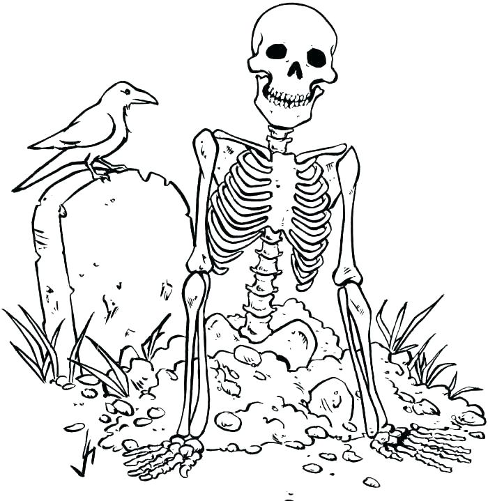700x719 Skull Coloring Pages Anatomy Inspirational Skull Coloring Pages