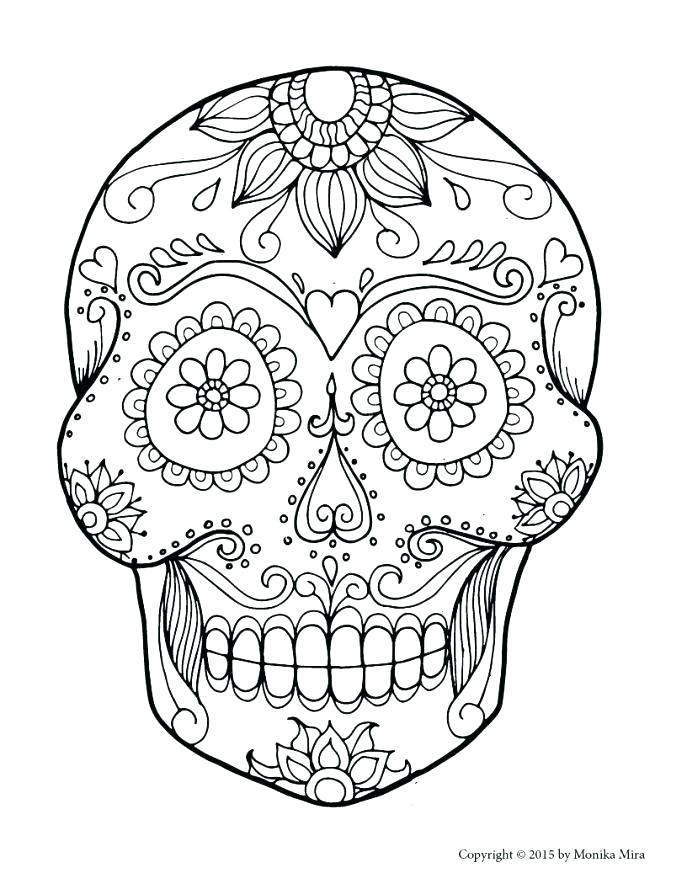 687x889 Skull Coloring Pages Anatomy Skull Coloring Pages Skull Bones